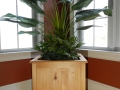 Cedar Planter Box